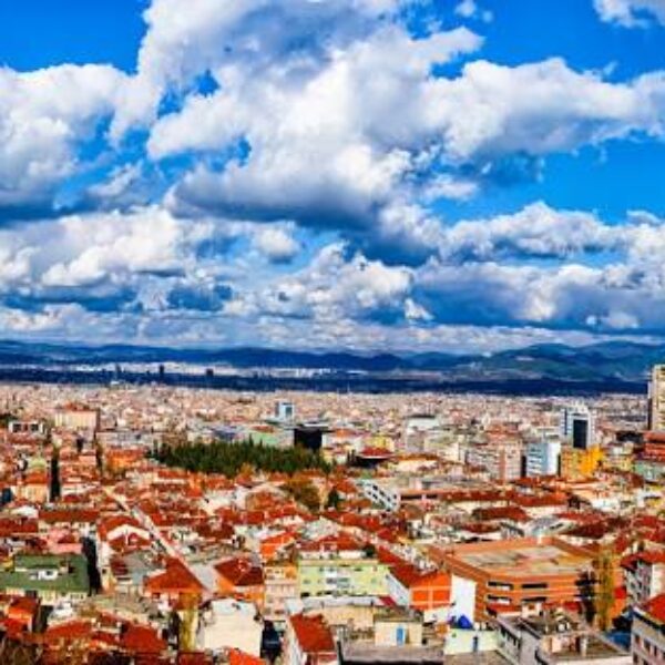 Bursa